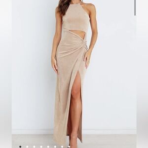 Petal & Pup Maxi Dress